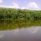 rybníky v červnu :