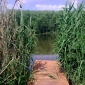rybníky v červnu :