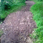 zpevnění cestiček okolo rybníků a na promenádě