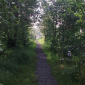 zpevnění cestiček okolo rybníků a na promenádě