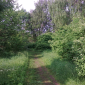 zpevnění cestiček okolo rybníků a na promenádě