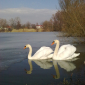 zimní lov na dírkách sezona 2010 - 2011 spuštěn od 1.12. 2010