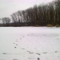 zimní lov na dírkách sezona 2010 - 2011 spuštěn od 1.12. 2010