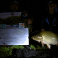 Carp Maraton Liščí Jezero Chabařovice 1.8. - 3.8. 2014