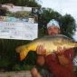 Carp Maraton Liščí Jezero Chabařovice 1.8. - 3.8. 2014