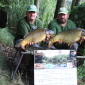 Carp Maraton Liščí Jezero Chabařovice 1.8. - 3.8. 2014