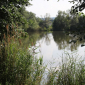 Carp Maraton Liščí Jezero Chabařovice 1.8. - 3.8. 2014