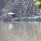 Carp Maraton Liščí Jezero Chabařovice 1.8. - 3.8. 2014