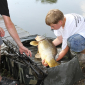 Carp Maraton Liščí Jezero Chabařovice 1.8. - 3.8. 2014